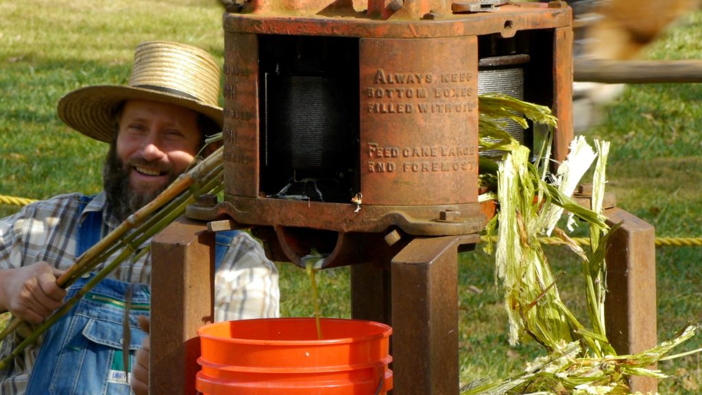 In a live demonstration staged in the Cades Cove area of Great Smoky Mountains National Park, Mark Guenther puts sweet sorghum cane through a mule-powered mill. Milling is the first step of the sorghum syrup-making process. Photo by Valerie Polk, provided by Great Smoky Mountains Association.