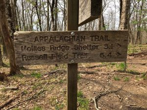 he area around Mollies Ridge Shelter is where, early in his northbound thru-hike in 2017, Ricky Vandegrift encountered a ridgerunner for the first time. Photo provided by Hunter Upchurch.