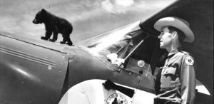 After recovering from his burns in Santa Fe, Smokey Bear was flown in a Piper PA-12 Super Cruiser airplane to the National Zoo in Washington, DC, where he lived for 26 years. Smokey received so many letters the US Postal Service granted him his own postal code. Public domain photo.