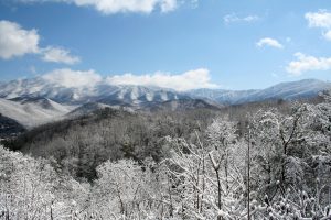 At lower elevation in the Smokies, snows of an inch or more usually only occur a few times each winter. Higher elevations receive much more snow. Newfound Gap receives an average of 69 inches of snow during the winter season. Photo by Ann Froschauer.