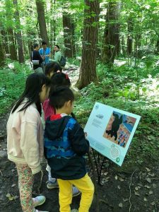 three kids at the Storybook Trail of the Smokies