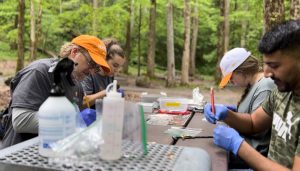 Dr. . Matthew Gray (left) and his students enrolled at the University of Tennessee, Knoxville, (UTK) commandeer a picnic table to conduct science in Great Smoky Mountains National Park. Every year, Gray brings his students to select areas in the park to sample salamander populations for pathogens. Provided by NPS.