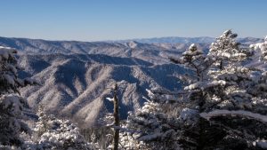 The first Christmas Bird Count in Great Smoky Mountains National Park was held in 1935. This year, several counts will include areas of Western North Carolina and East Tennessee, and two will take place within the national park on January 1 and January 5, 2024. Image courtesy GSMA archives.