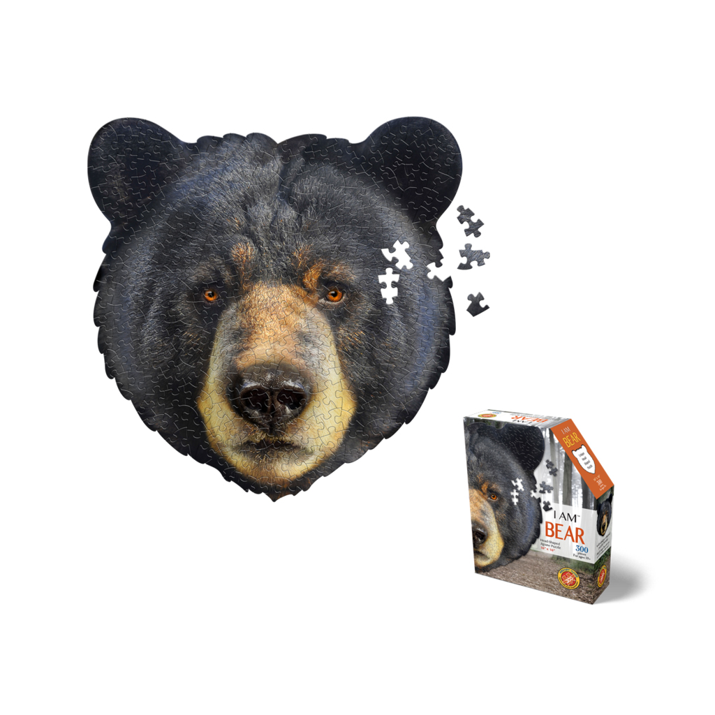 Lvls Premium Youth Bear Logo Hoodie